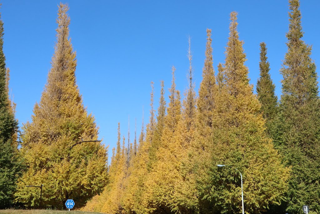 10744629408_IMG_1353