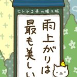 ヒトネコさん、最も美しい。