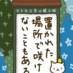 ヒトネコさん、置かれた場所で、咲けないこともある。