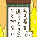 ヒトネコさん、去る者を追うと