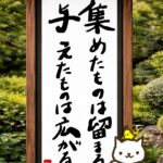 ヒトネコさん、集めたものは留まる