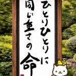 ヒトネコさん、どこかに光がないか