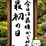 ヒトネコさん、今日は