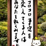 ヒトネコさん、コロコロ