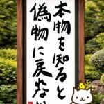 ヒトネコさん、本物を知ると