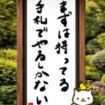 ヒトネコさん、まずは持ってる手札で