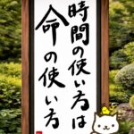 ヒトネコさん、時間の使い方は