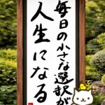 ヒトネコさん、毎日の小さな選択が