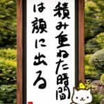 ヒトネコさん、積み重ねた時間は